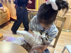 -白兔子密室(长寿路店)