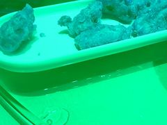 -刘胖子家常菜·蹄花焖藕(兴业店)