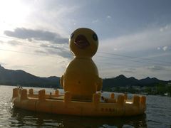 -荣德灶台鱼(圣泉寺店)