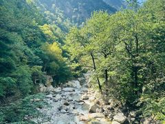 -青峰峡国家森林公园