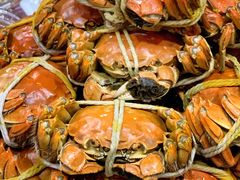 -渔娘蟹庄(阳澄湖莲花岛店)