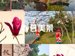 -无锡蠡湖国家湿地公园-蠡园