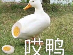 -星城之眼摩天轮