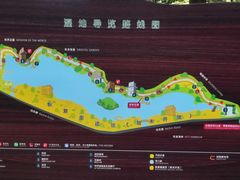 -华侨城湿地公园