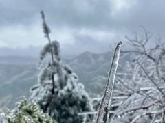 -金子山原生态旅游风景区