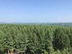 -塞罕坝国家级自然保护区