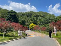 -广州市帽峰山景区