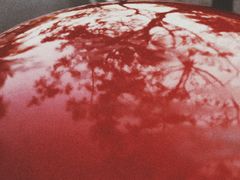 -鸿港海鲜批发市场