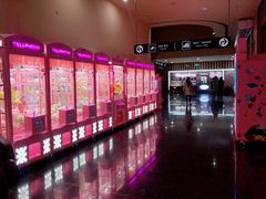 -华谊兄弟影院(IMAX洋桥店)