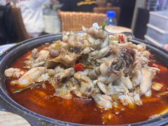 -昱龙大盆牛蛙馆(三兴街总店)