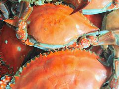 -清真老马家海鲜大排档(台东店)