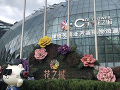 -花之城