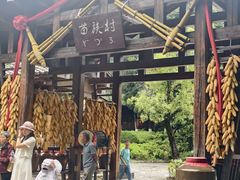 -云南民族村