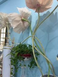 -斐尔国际皮肤管理中心