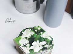 茉莉花茶-乐纯(苹果社区店)