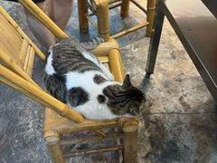 -铜瓢江湖兔火锅(水碾河社区店)