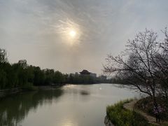 -禹州森林植物园