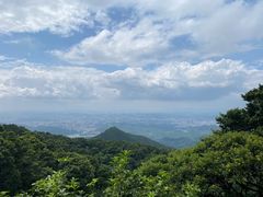 -梧桐山风景名胜区