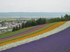 -富田农场