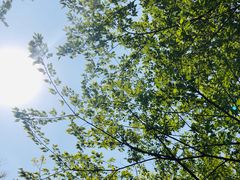 -Cactus墨西哥仙人掌餐厅