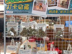 -蓝湾碧波·老字号·疍家非遗海上餐厅