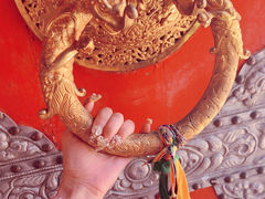 -塔尔寺菩提树