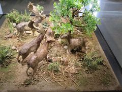 -北京麋鹿生态实验中心