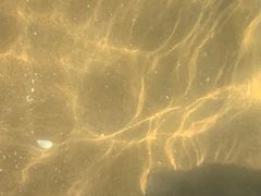 -南戴河国际娱乐中心