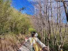 -东白山