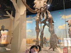 -国家自然博物馆