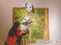 -成都泰迪熊博物馆