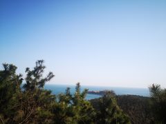 -棒棰岛宾馆景区