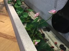 -丽池宫韩式汗蒸会馆(华灯坊店)