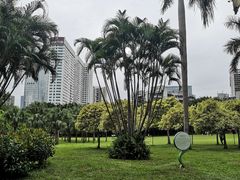 -东风公园