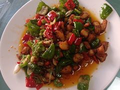 -煲来饱去冷水鱼