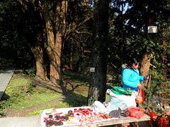 -祁门牯牛降观音堂风景区