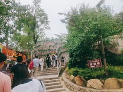 -清境桃源