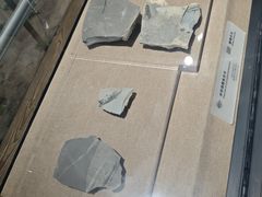 -烟台市博物馆
