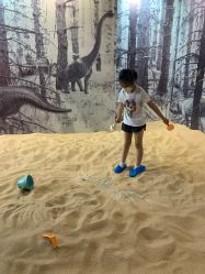 点击看大图 -恐龙探索乐园(磁器口店)