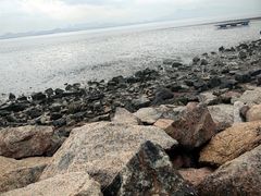 -深圳湾公园(南山区)