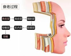 -天其美科学美肤·生发健康管理