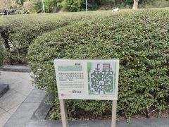 -九龙公园