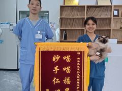 -东莞宠友24H宠物中心医院·转诊夜诊·异宠(新河北路院)