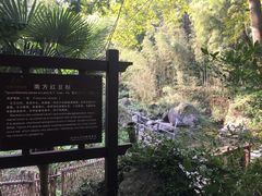 -山沟沟景区