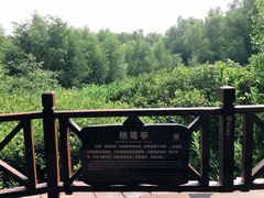 -大亚湾红树林城市湿地公园