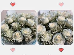 -花到家(富贵鸟花艺行)