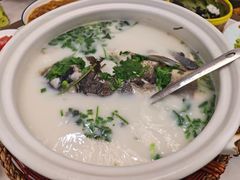 -紫藤园·天目湖大鱼头(南山竹海店)