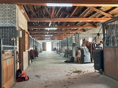 -北京群众马术培训基地