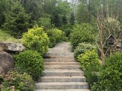 -幽岚山·童话森林