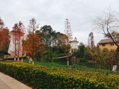 -云南民族村